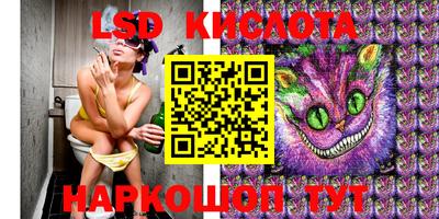 стаф Заводоуковск