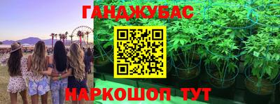 стаф Заводоуковск