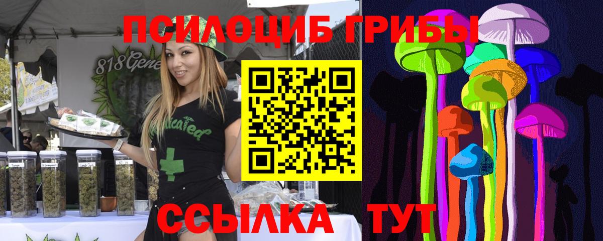 Кимовск  Псилоцибиновые грибы Magic Shrooms  купить наркотики сайты  Вход с VPN 